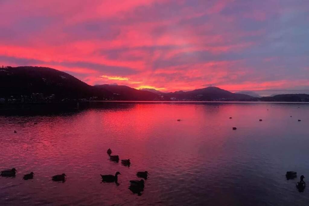 Evita Woerthersee 크롬펜돌프 외부 사진